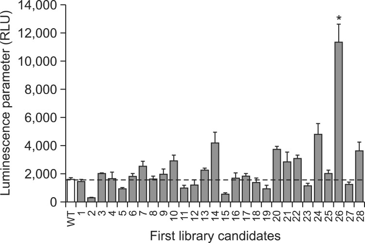 Fig. 2.