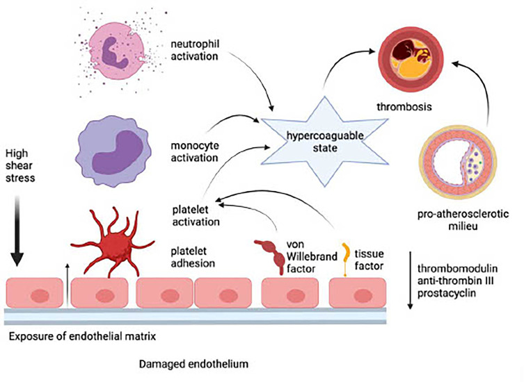 Figure 1