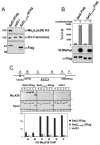 FIG. 4.