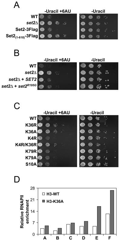 FIG. 6.