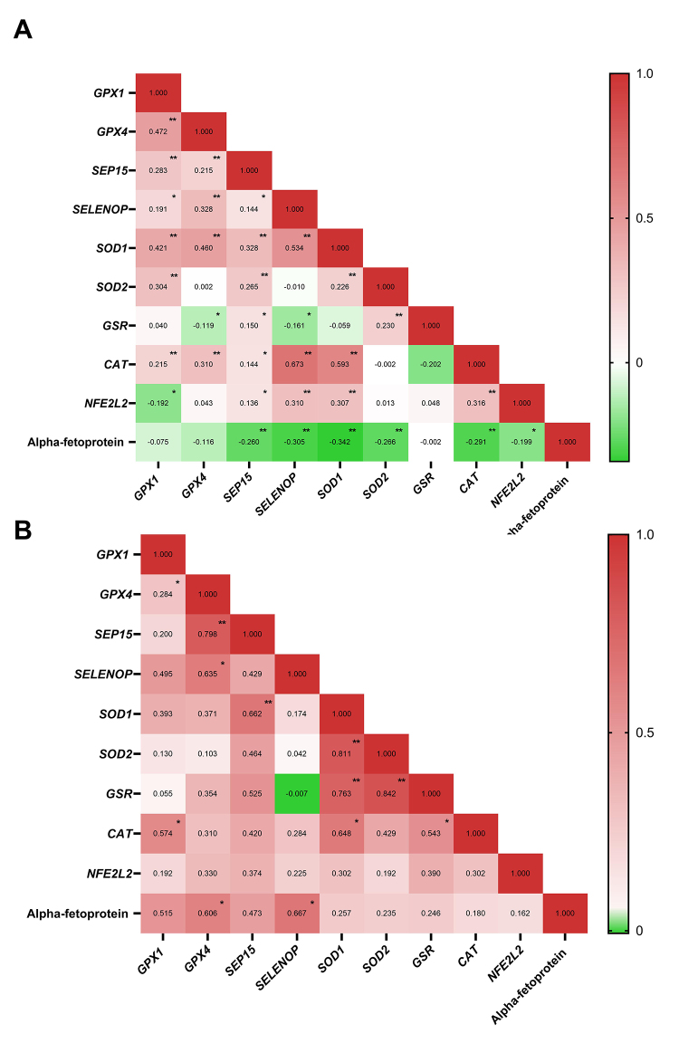 Figure 2 -