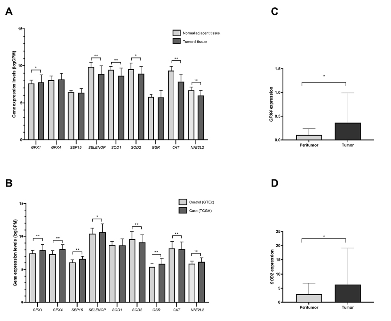 Figure 1 -