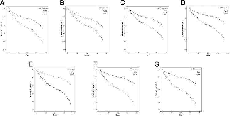 Figure 3 -