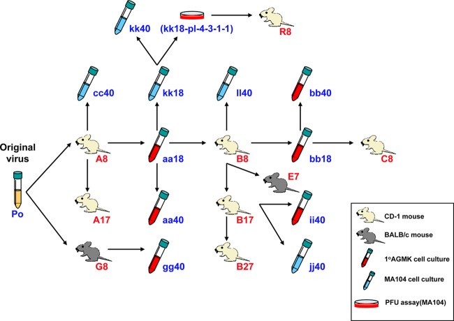 FIG 1