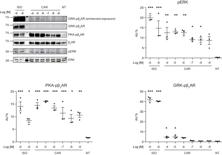 Figure 2—figure supplement 2.