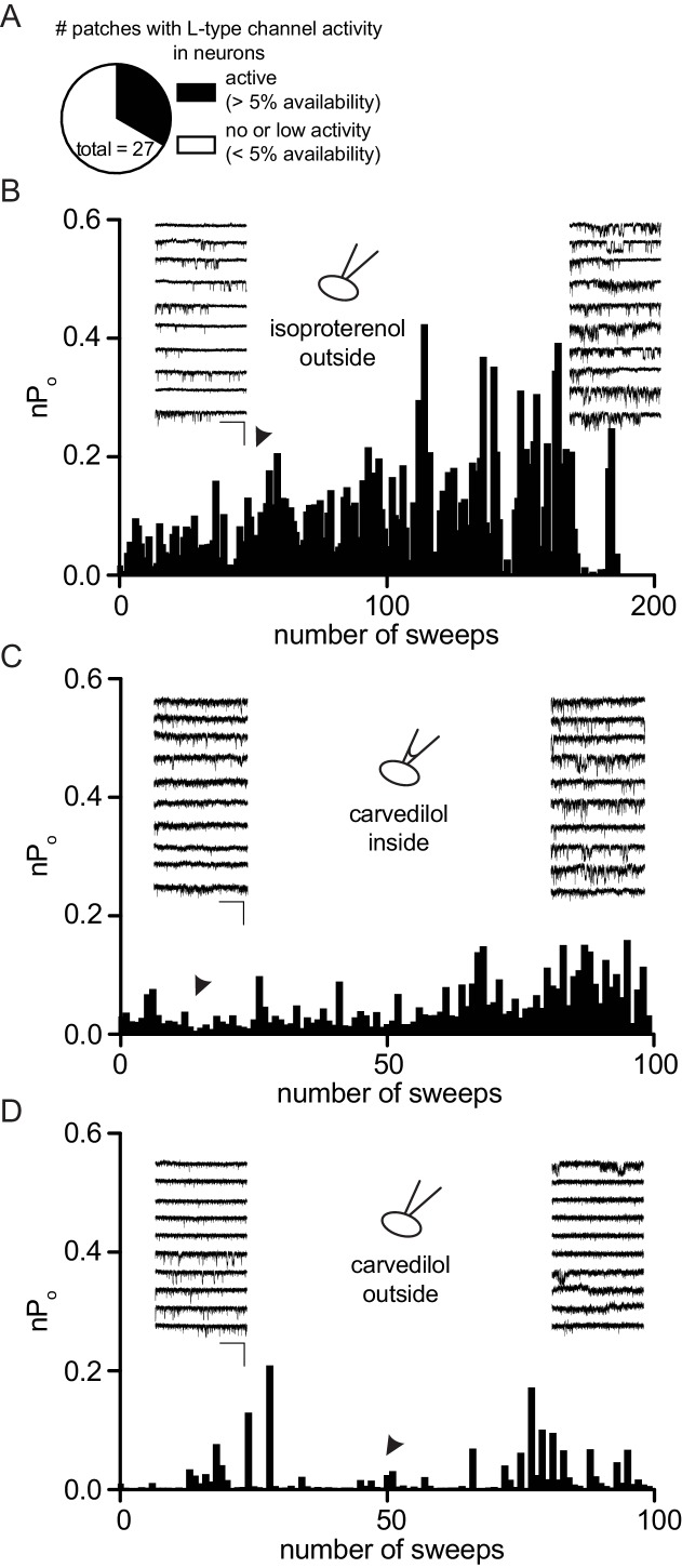 Figure 5—figure supplement 1.