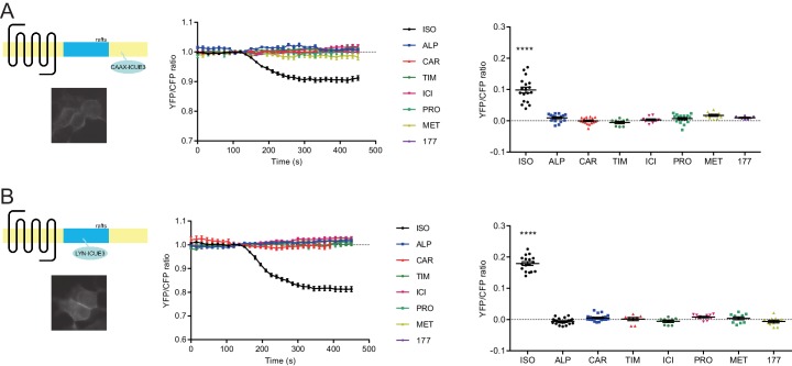 Figure 3—figure supplement 3.