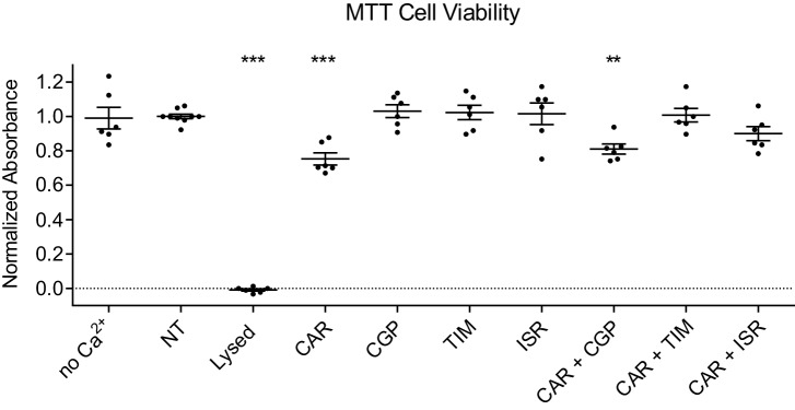 Figure 5—figure supplement 2.