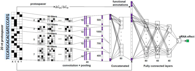 Extended Data Fig. 1 ∣