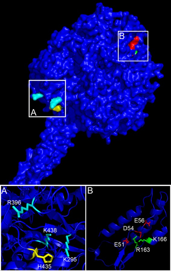 Fig 1