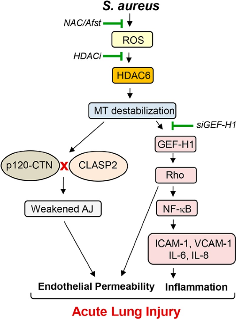 Figure 11.