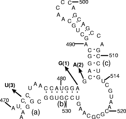 FIG. 1.