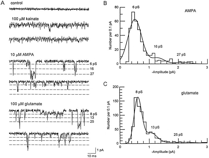 Fig. 2.