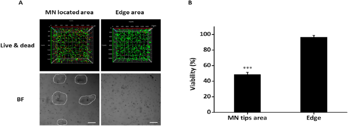 Figure 5