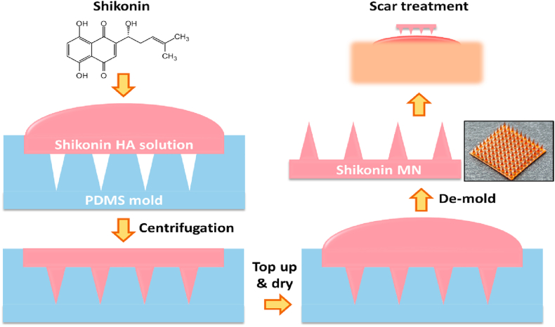 Scheme 1