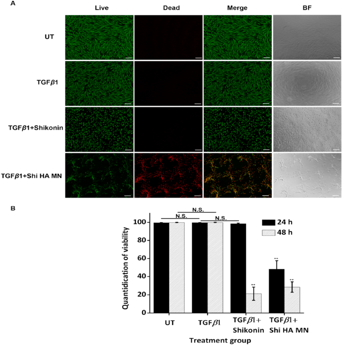 Figure 3