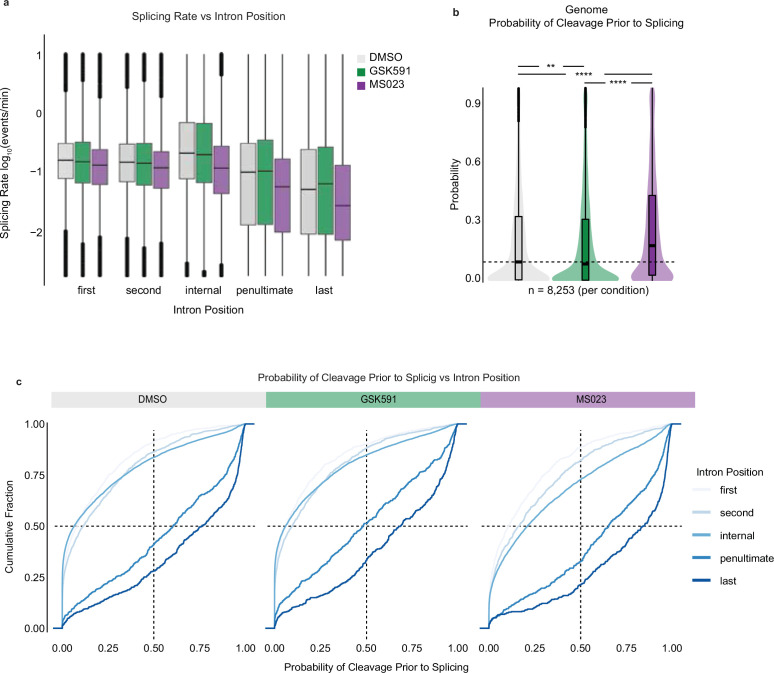 Figure 2—figure supplement 2.