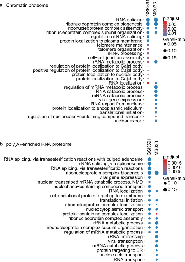 Figure 4—figure supplement 1.