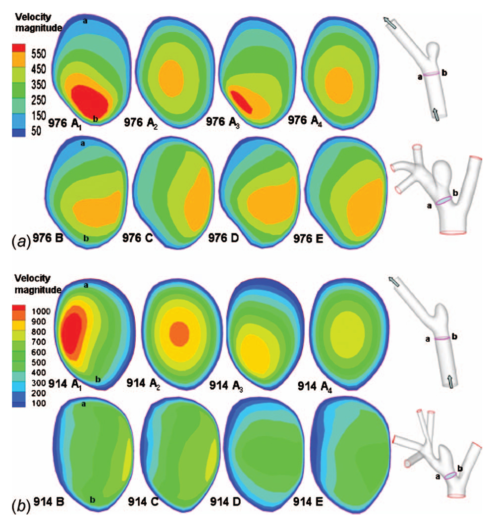 Fig. 10