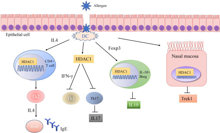 Figure 1