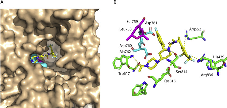 Fig. 3