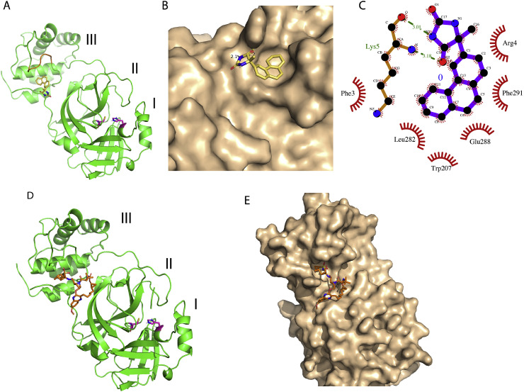 Fig. 2