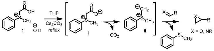 Scheme 1