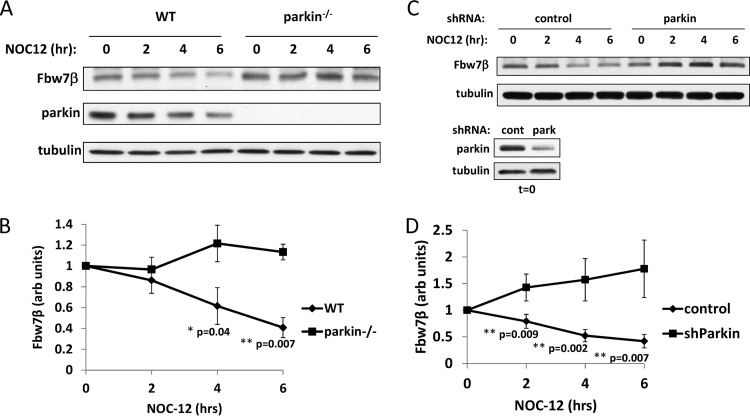 Fig 6