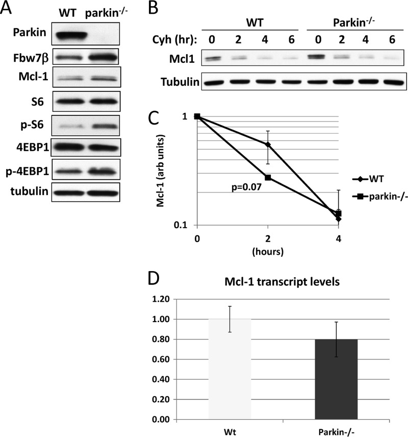 Fig 10