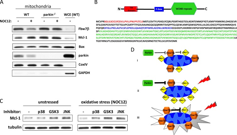 Fig 11