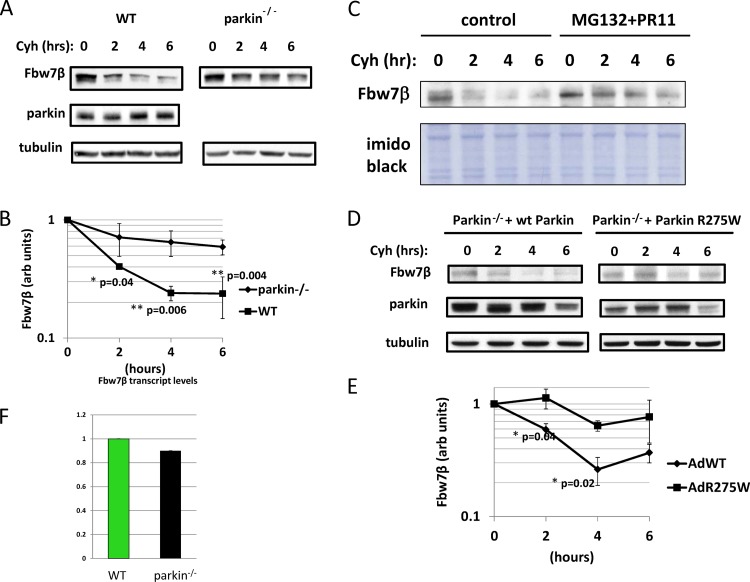 Fig 4