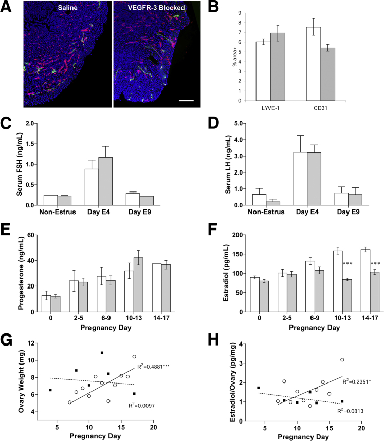 Figure 6