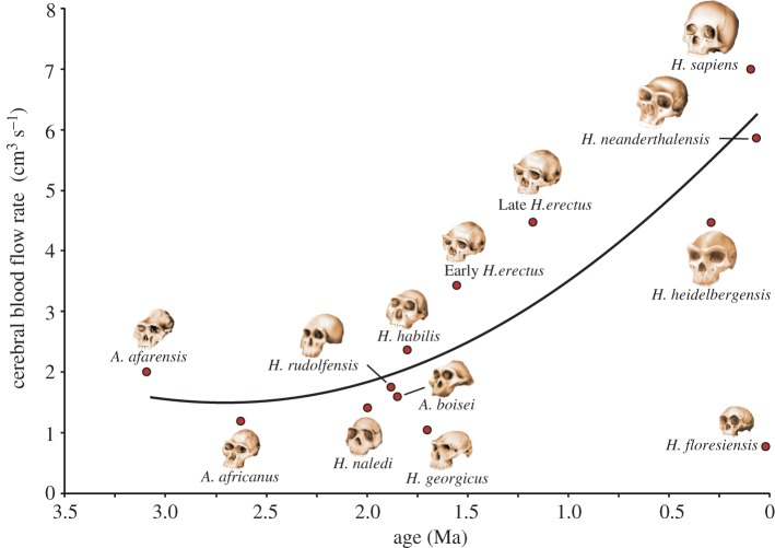 Figure 3.