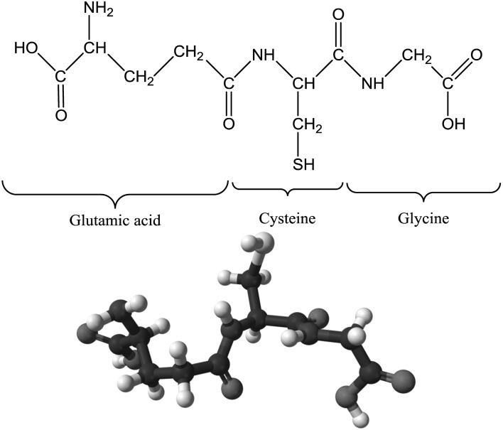 Fig. 1