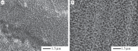 Figure 2.