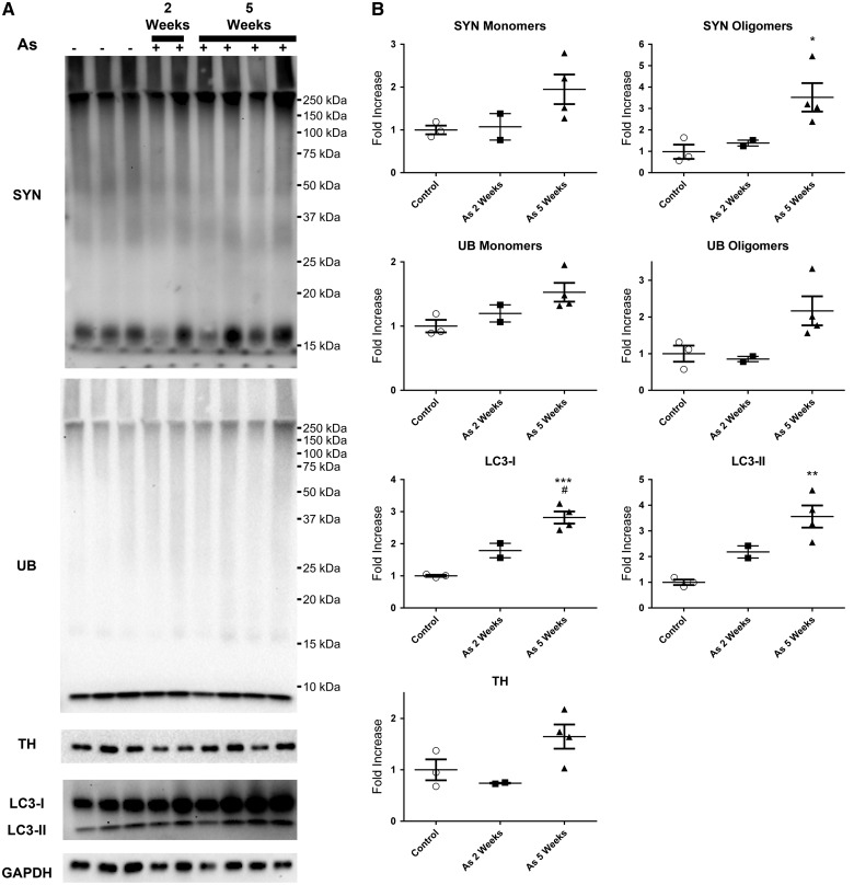 FIG. 6