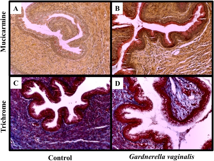 Fig 5