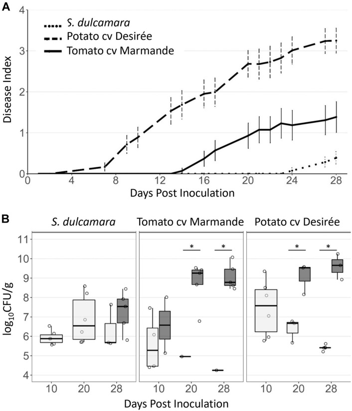 FIGURE 4