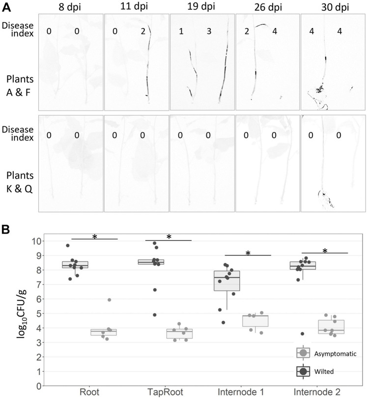 FIGURE 2