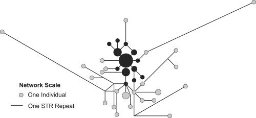 Figure  2