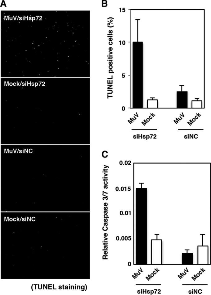 FIG 6