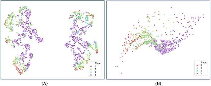 Fig. 10