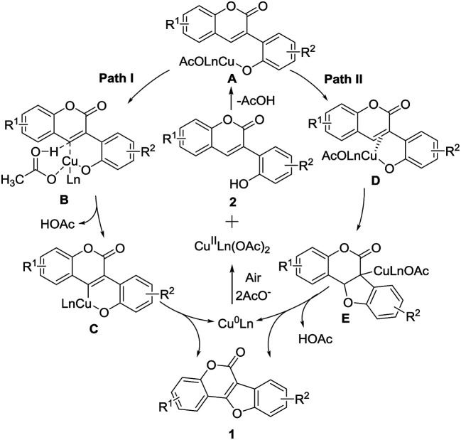 Scheme 6