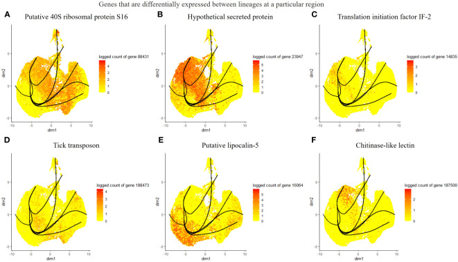 Figure 5