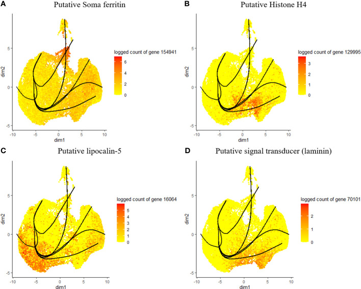 Figure 4