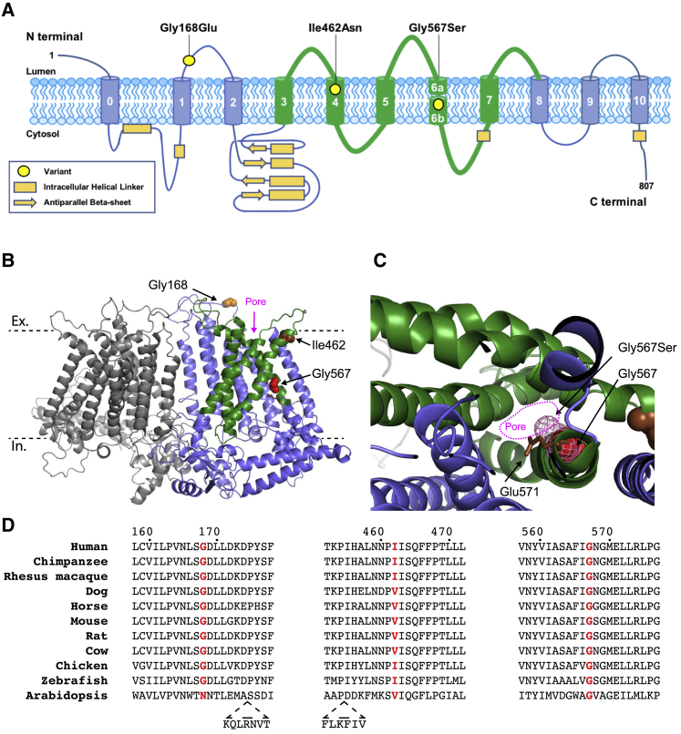 Figure 3