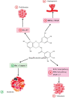 Fig. 1