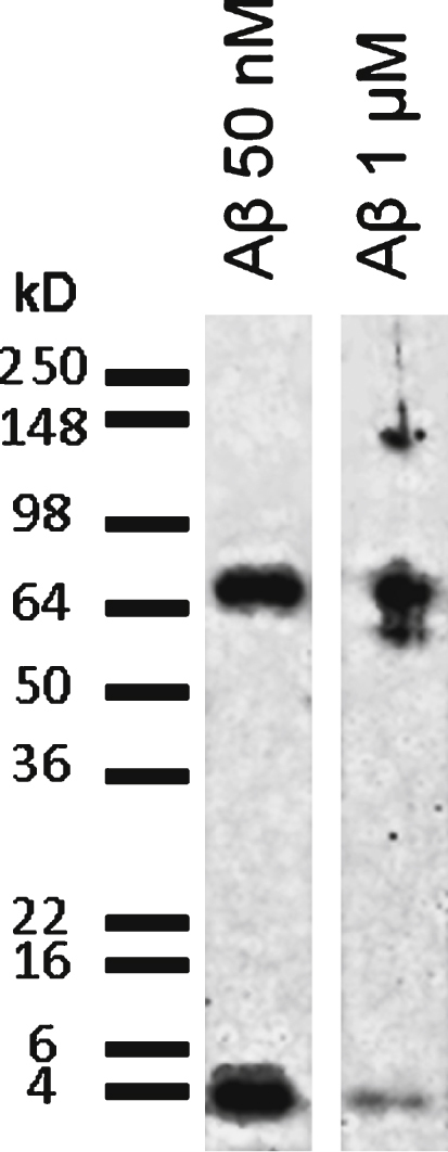 Fig.1