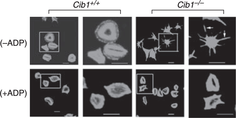 Fig. 6.