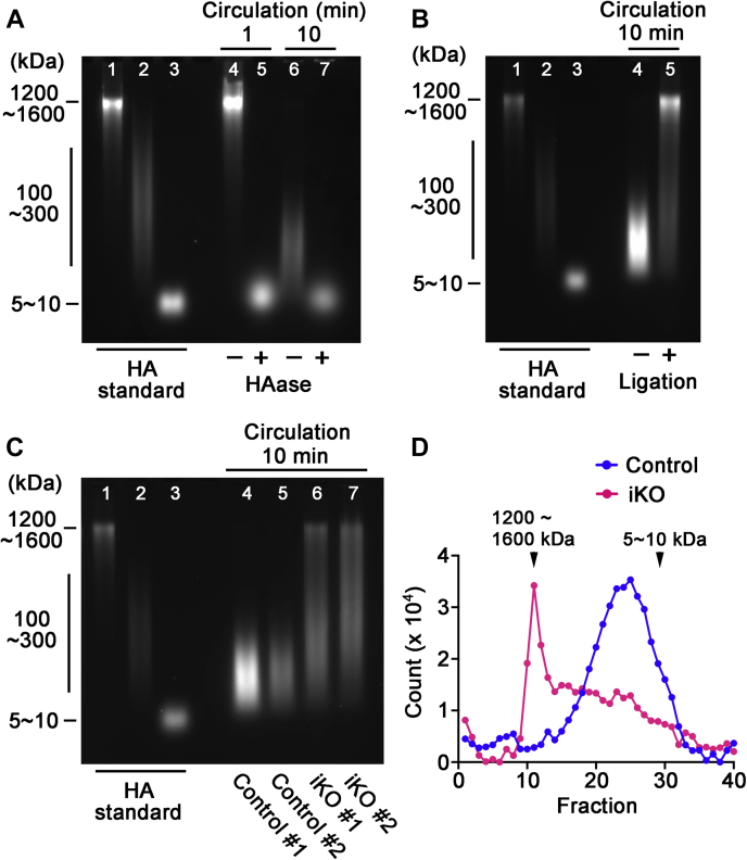 Figure 5